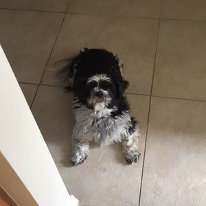 Meet your Posher, Madeline